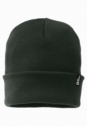 Bonnet Jack Wolfskin Rib Femme Vert | 18061111