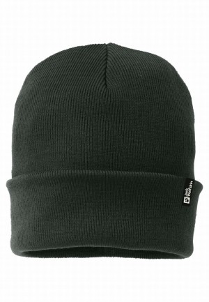 Bonnet Jack Wolfskin Rib Homme Vert | 10846172