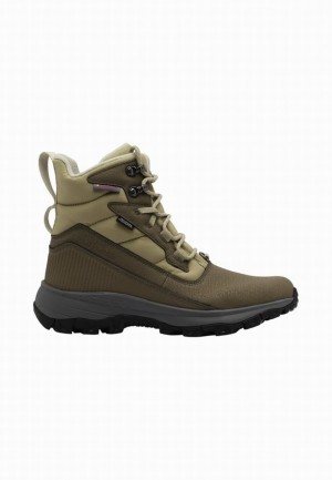 Botte Hiver Jack Wolfskin Everquest Pro Texapore High Femme Vert Olive | 11575368