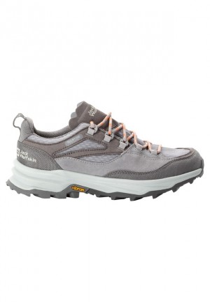 Chaussure de Randonnée Jack Wolfskin Cyrox Texapore Low Femme Grise | 67695420