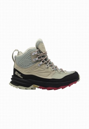 Chaussure de Randonnée Jack Wolfskin Cyrox Texapore Mid Femme Grise | 93143579