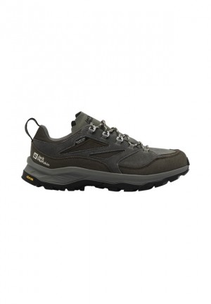Chaussure de Randonnée Jack Wolfskin Cyrox Texapore Low Homme Cafe | 23627586