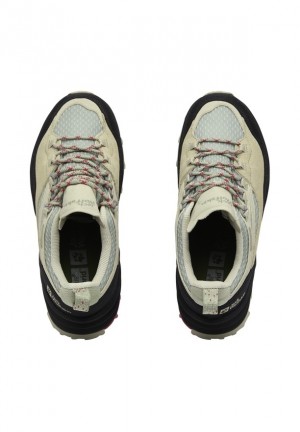 Chaussure de Randonnée Jack Wolfskin Cyrox Texapore Low Femme Grise | 64777760