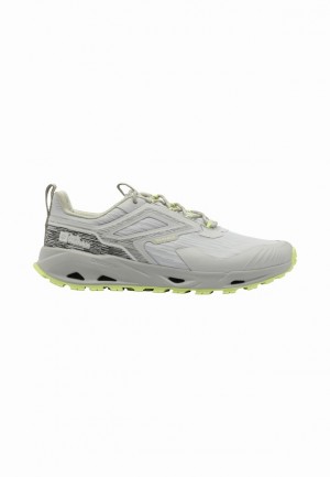 Chaussure de Randonnée Jack Wolfskin Prelight Texashield Low Homme Grise | 81112494