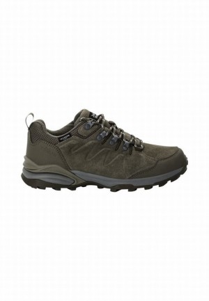 Chaussure de Randonnée Jack Wolfskin Refugio Texapore Low Femme Vert Olive | 20231800