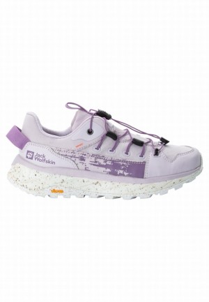 Chaussure de Randonnée Jack Wolfskin Terraquest Low Femme Lavande | 83340418