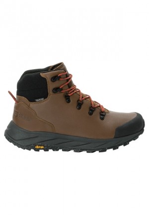 Chaussure de Randonnée Jack Wolfskin Terraquest X Texapore Mid Homme Marron | 45888885