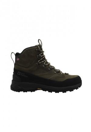 Chaussure de Randonnée Jack Wolfskin Terraquest Arctic Texapore Mid Homme Cafe | 39173594