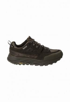 Chaussure de Randonnée Jack Wolfskin Terraquest Texapore Low Homme Marron | 59429401
