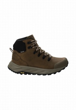 Chaussure de Randonnée Jack Wolfskin Terraquest X Texapore Mid Femme Marron | 88110123