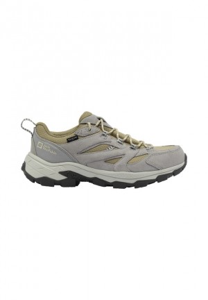 Chaussure de Randonnée Jack Wolfskin Vojo Tour Texapore Low Homme Grise | 86477770