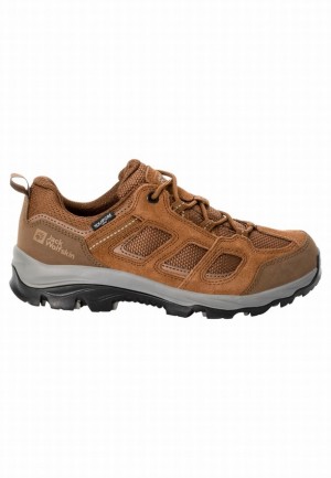 Chaussure de Randonnée Jack Wolfskin Vojo 3 Texapore Low Femme Marron | 60726120