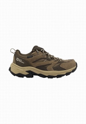 Chaussure de Randonnée Jack Wolfskin Vojo Tour Texapore Low Femme Marron | 16327034