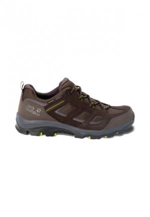 Chaussure de Randonnée Jack Wolfskin Vojo 3 Texapore Low Homme Marron | 68508768
