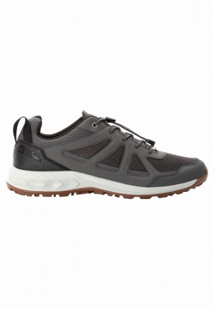 Chaussure de Randonnée Jack Wolfskin Woodland 2 Vent Low Homme Grise | 40456545