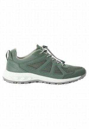 Chaussure de Randonnée Jack Wolfskin Woodland 2 Vent Low Femme Vert | 44484577
