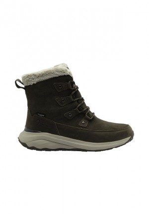 Chaussures D'hiver Jack Wolfskin Dromoventure Texapore High Femme Cafe | 37175463