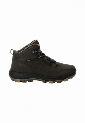 Chaussures D'hiver Jack Wolfskin Everquest Texapore Mid Homme Cafe | 97225000