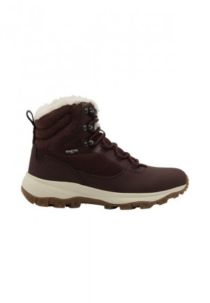 Chaussures D'hiver Jack Wolfskin Everquest Texapore High Femme Marron | 47859491