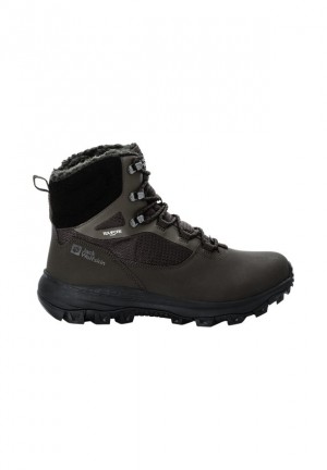 Chaussures D'hiver Jack Wolfskin Everquest Texapore High Homme Cafe | 37303472