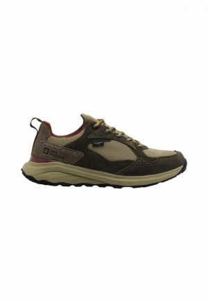 Chaussures Outdoor Jack Wolfskin Camp Fever Texapore Low Homme Vert Olive | 55309189