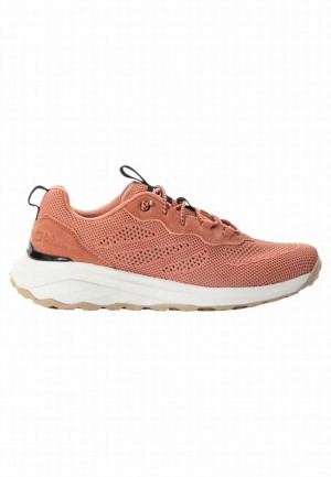 Chaussures Outdoor Jack Wolfskin Dromoventure Knit Low Femme Rose | 55602468