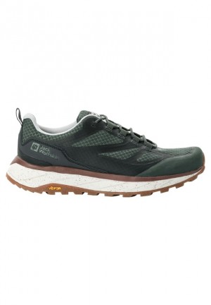 Chaussures Outdoor Jack Wolfskin Terraventure Vent Low Homme Vert | 52875620