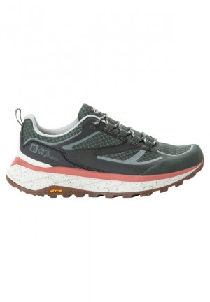 Chaussures Outdoor Jack Wolfskin Terraventure Vent Low Femme Grise | 87922697