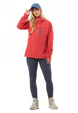 Collant Jack Wolfskin Klintal Femme Bleu Marine | 28719935