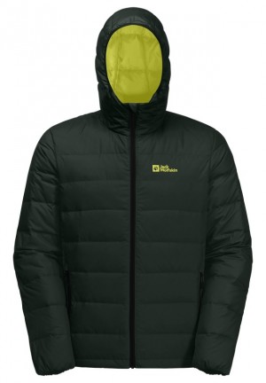 Doudoune Jack Wolfskin Ather Hoody Homme Vert | 98601720