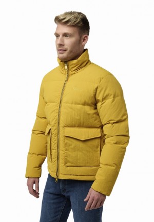 Doudoune Jack Wolfskin Nordlicht Homme Jaune | 95220741