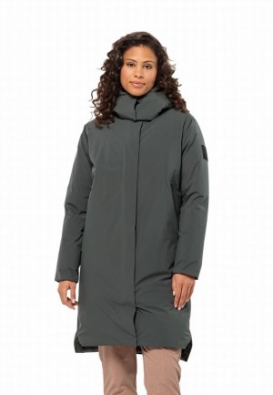 Doudounes Jack Wolfskin Luisenplatz Femme Grise | 37067501
