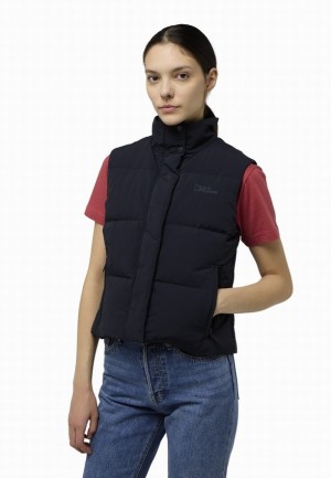 Gilet Jack Wolfskin Nordlicht Femme Bleu Marine | 65253096