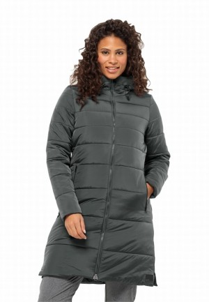 Manteaux Jack Wolfskin Eisbach Femme Grise | 11212152