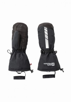Mitaine Jack Wolfskin 1995 Series Homme Noir | 17456372
