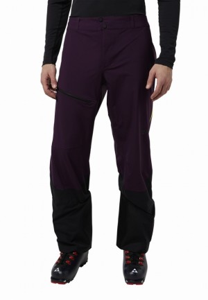 Pantalon Jack Wolfskin Alpspitze Tour 3l Homme Violette | 92116069