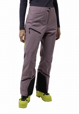 Pantalon Jack Wolfskin Alpspitze Tour 3l Femme Violette | 80853903