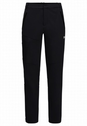 Pantalon Jack Wolfskin Glastal Winter Homme Grise | 39658987