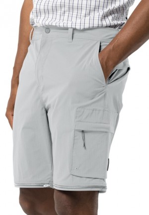 Pantalon Jack Wolfskin Wanderthirst Zip Homme Grise | 46689839