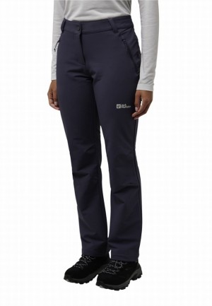 Pantalons De Randonnée Jack Wolfskin Activate Thermic Femme Bleu Marine | 61418851