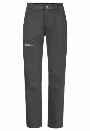 Pantalons De Randonnée Jack Wolfskin Activate Xt Homme Grise | 33897429
