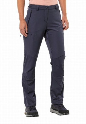Pantalons De Randonnée Jack Wolfskin Alpine Femme Bleu Marine | 91086134