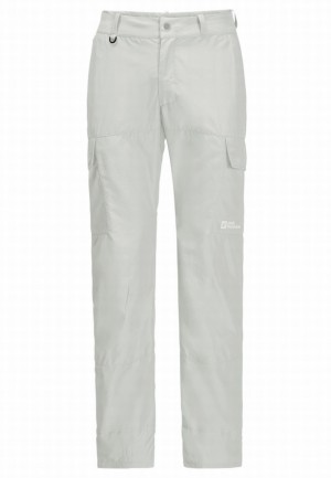 Pantalons De Randonnée Jack Wolfskin Barrier Pant Homme Grise | 26225969