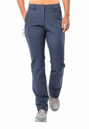 Pantalons De Randonnée Jack Wolfskin Holdsteig Femme Bleu | 45099748