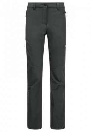 Pantalons De Randonnée Jack Wolfskin Holdsteig Femme Grise | 25899929