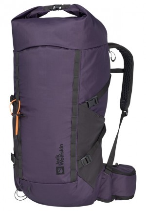 Sac À Dos De Randonnée Jack Wolfskin Cyrox Shape 30 S-l Homme Violette | 80049807