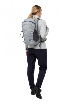 Sac À Dos De Randonnée Jack Wolfskin Cyrox Shape 20 Homme Grise | 84813128