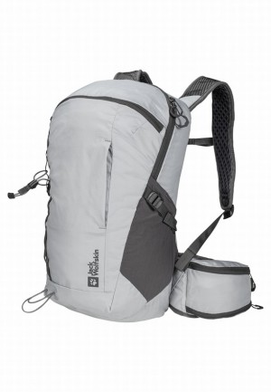 Sac À Dos De Randonnée Jack Wolfskin Cyrox Shape 20 Femme Grise | 46620563
