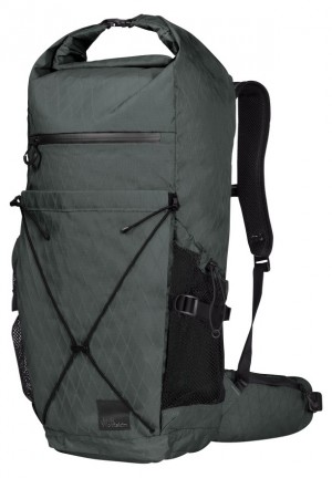 Sac À Dos De Randonnée Jack Wolfskin Wandermood Rolltop 30 Femme Grise | 34426423
