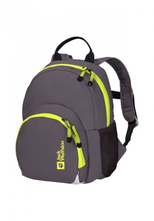 Sacs À Dos Jack Wolfskin Buttercup Femme Grise | 68124593